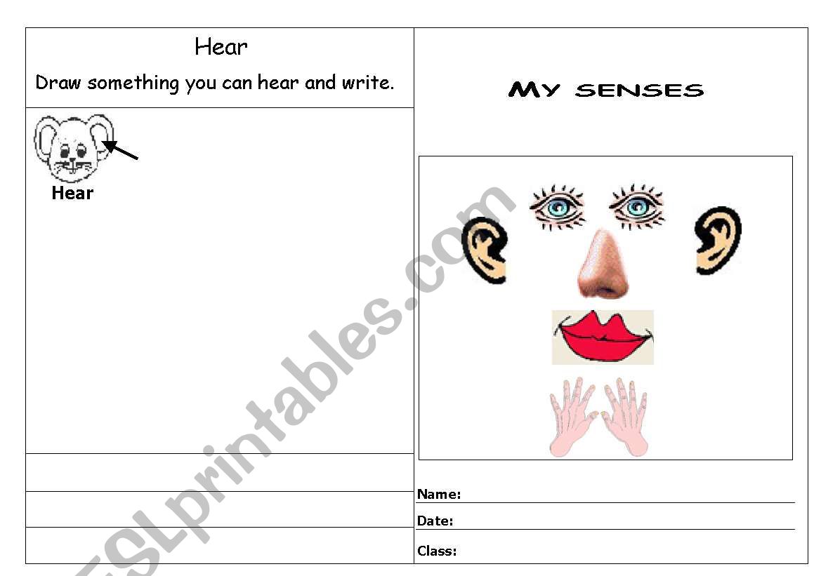 The five senses song worksheet