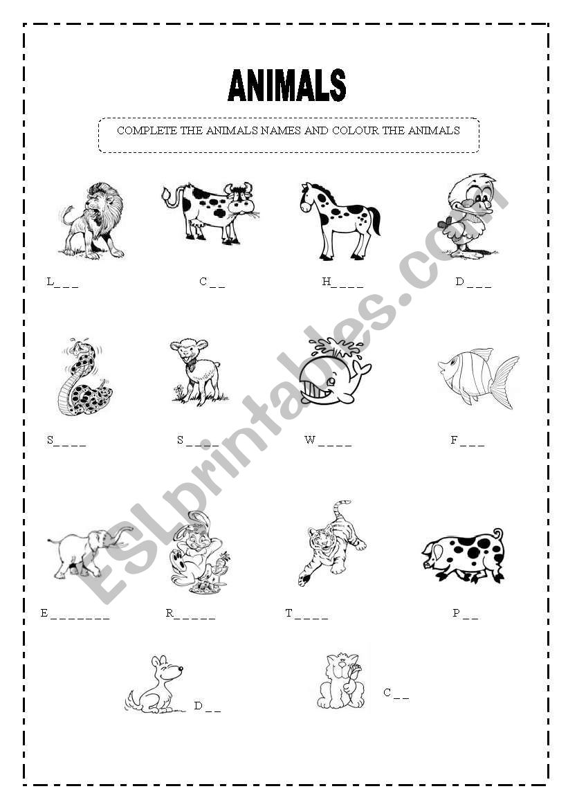 Animals worksheet