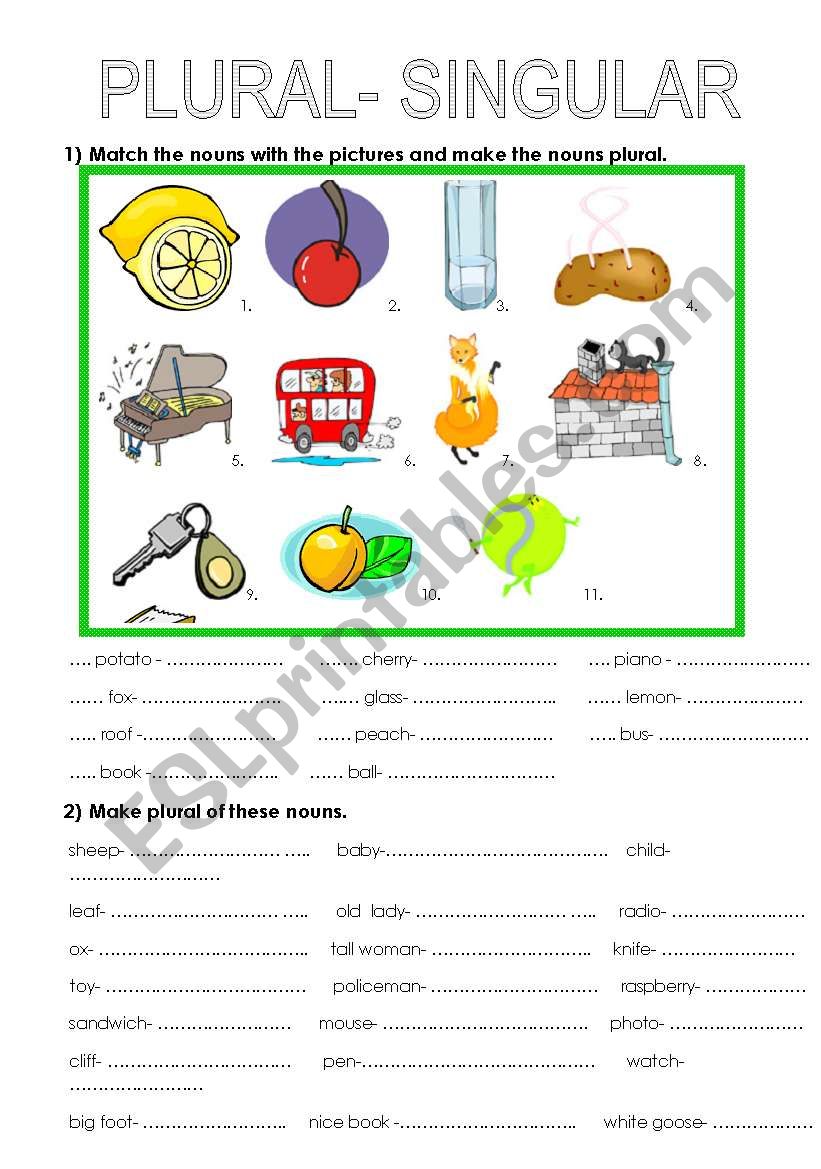 plural -singular worksheet