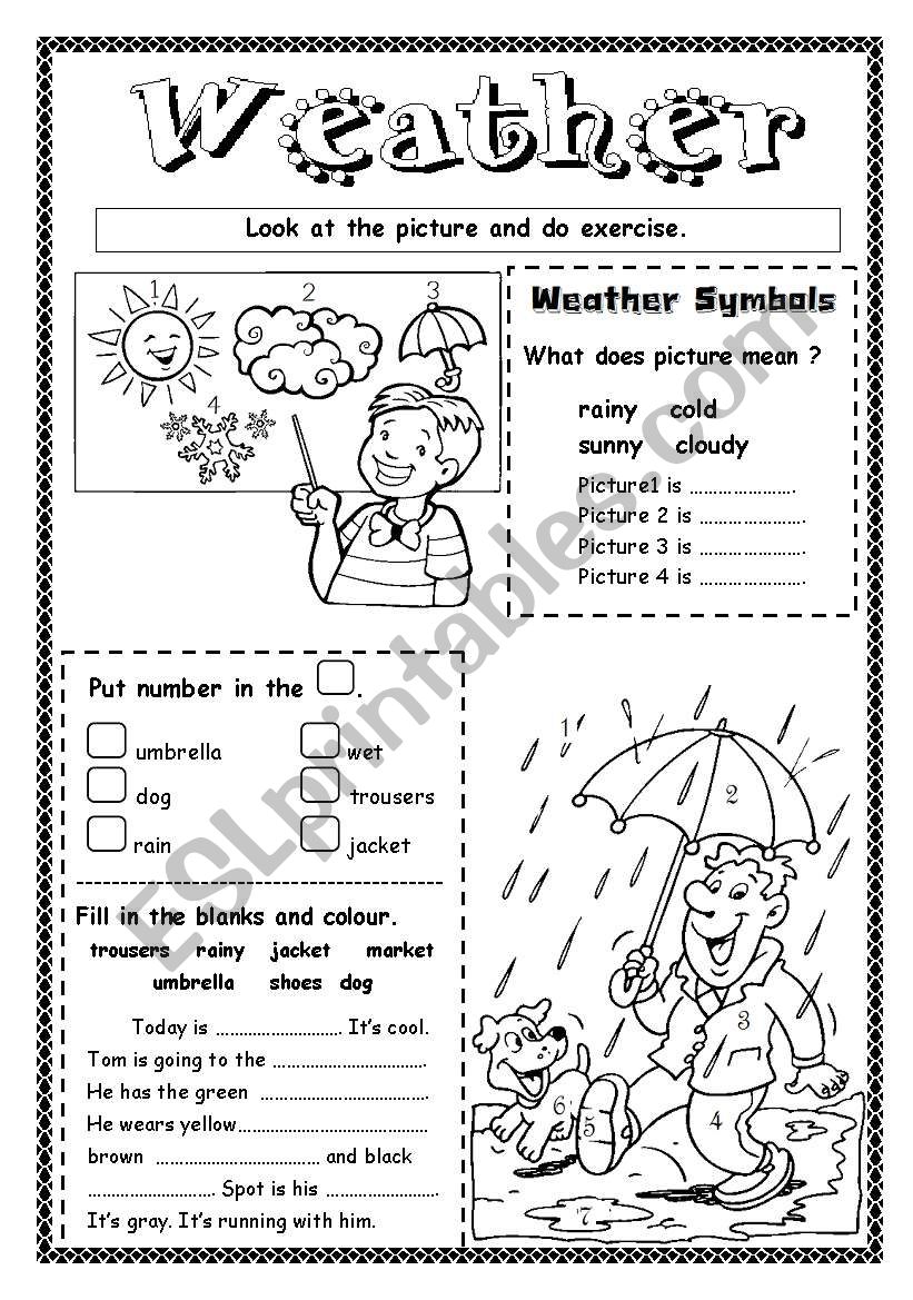 Weather worksheet