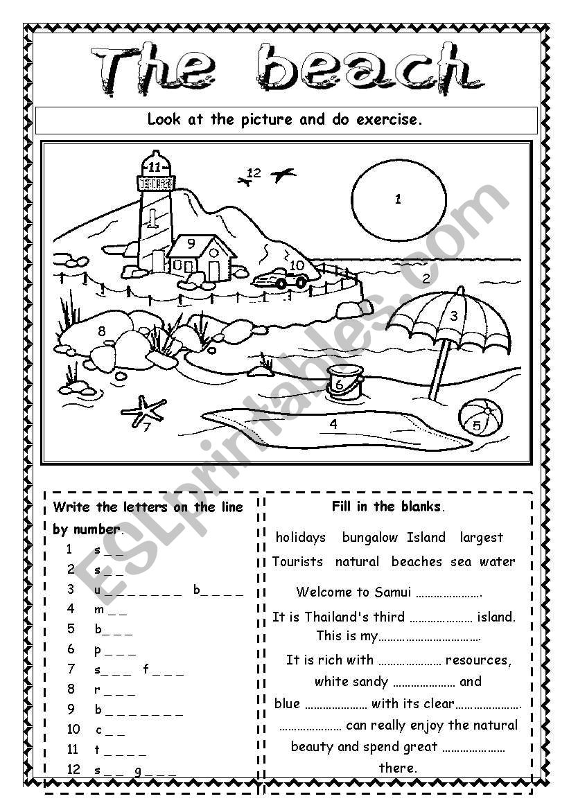 The beach worksheet