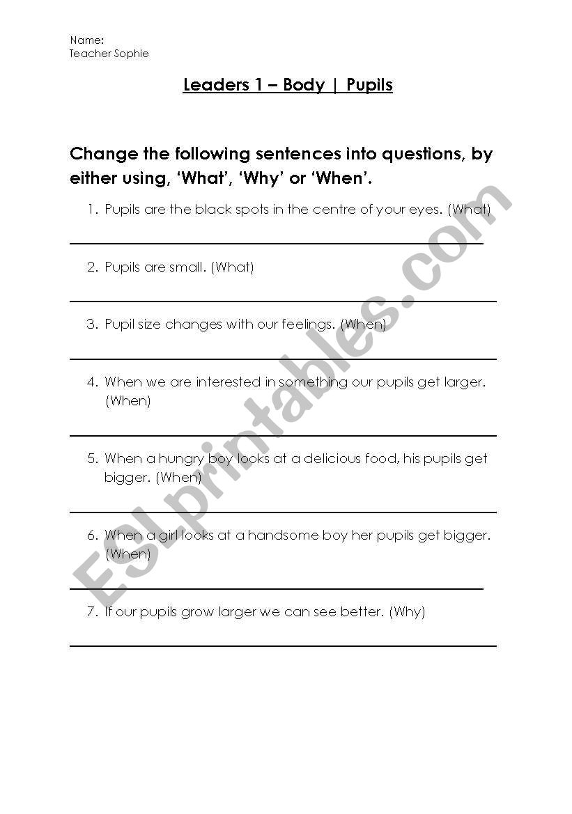 Pupils worksheet