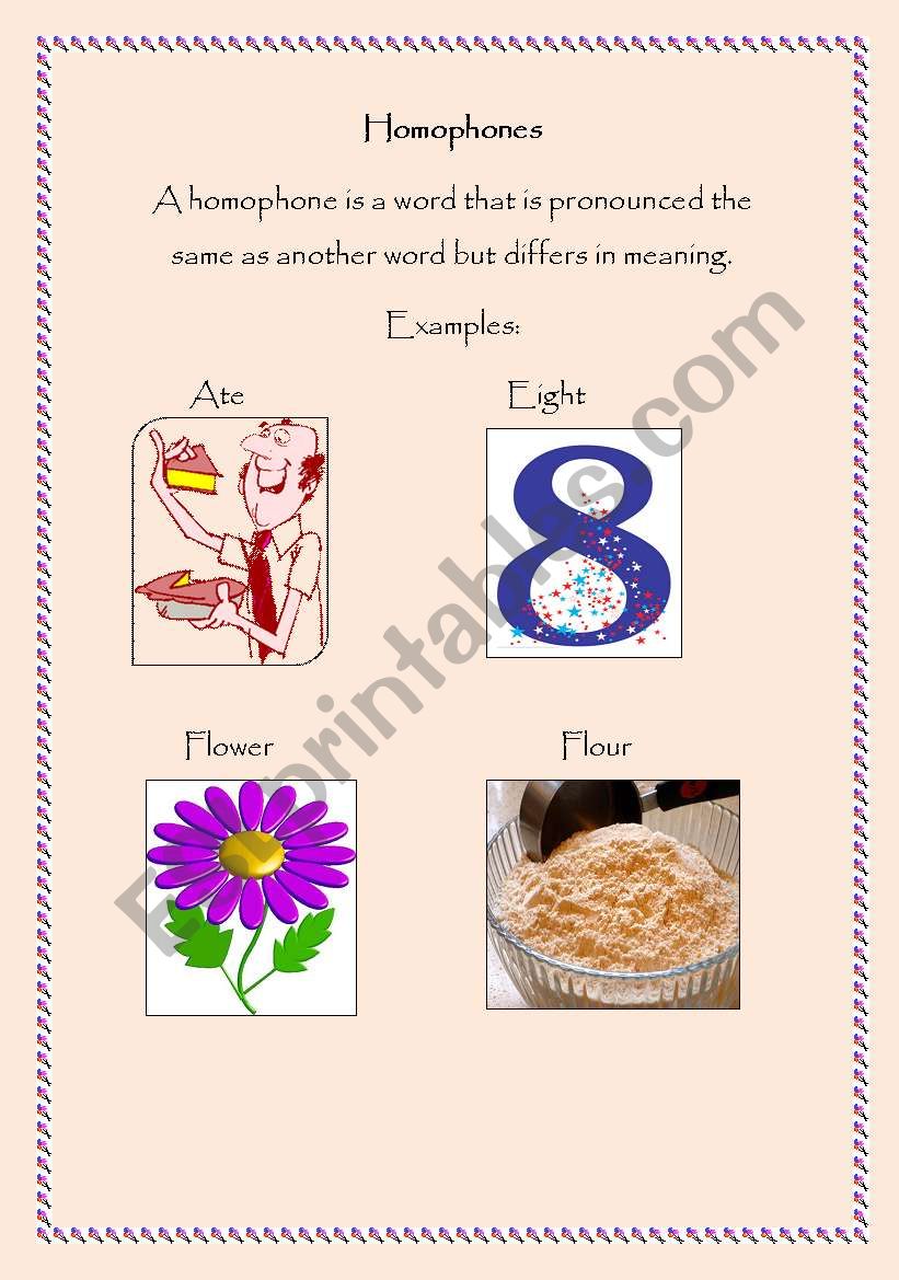 homophones worksheet