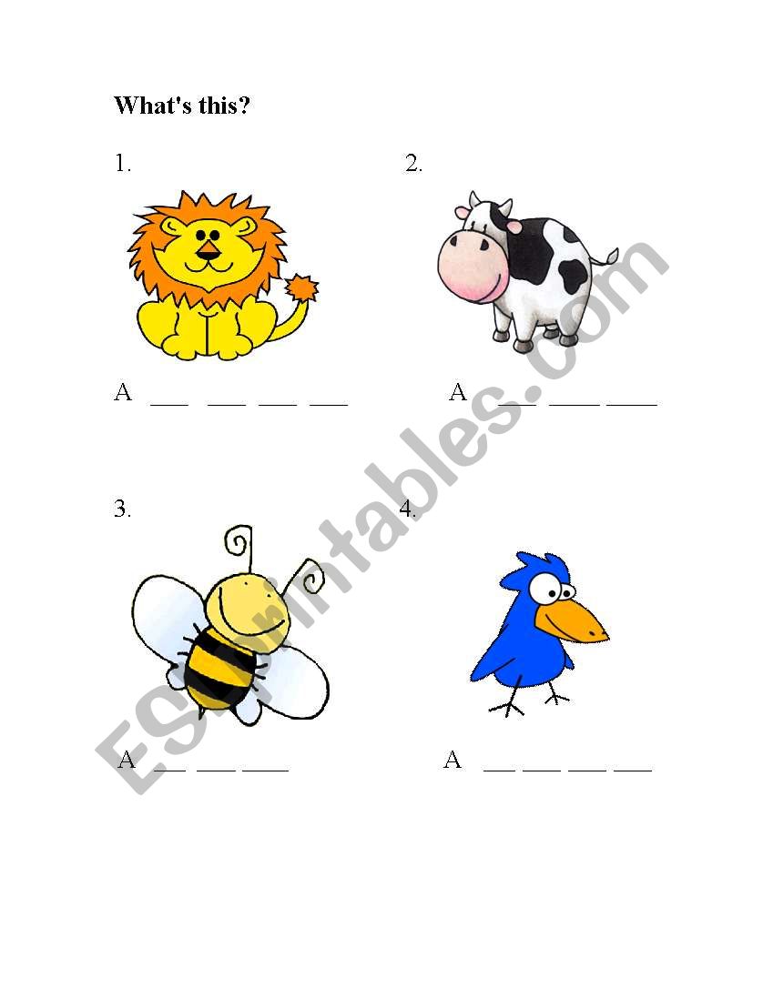 Animals vocabulary  worksheet