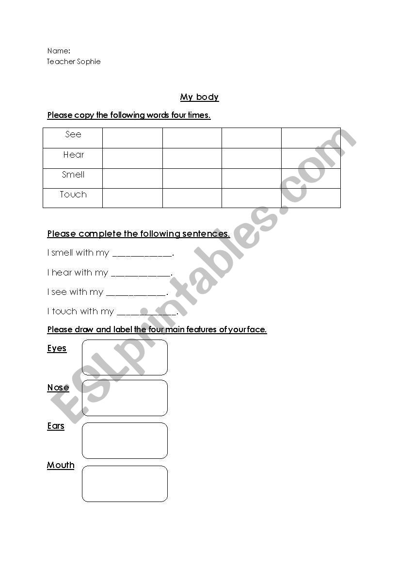 My body worksheet