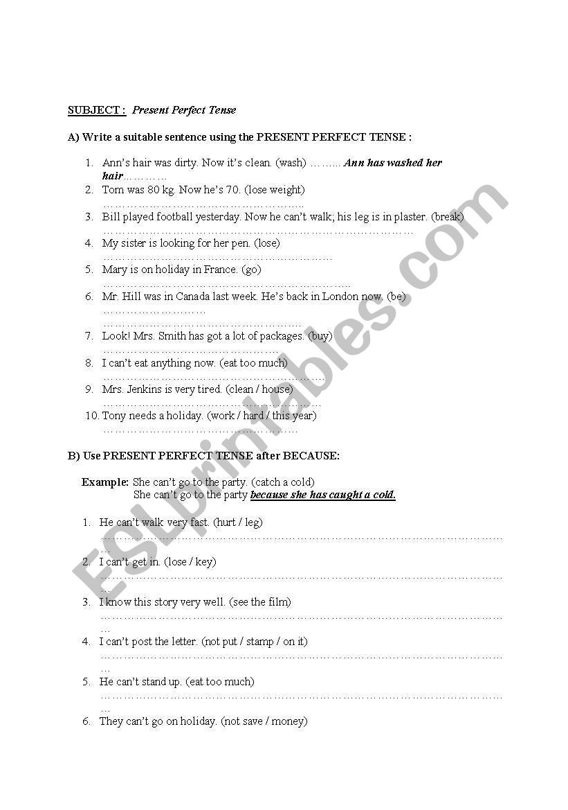present perfect exercise worksheet