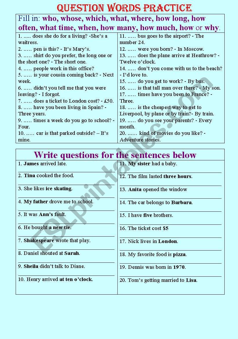 Questions practice worksheet