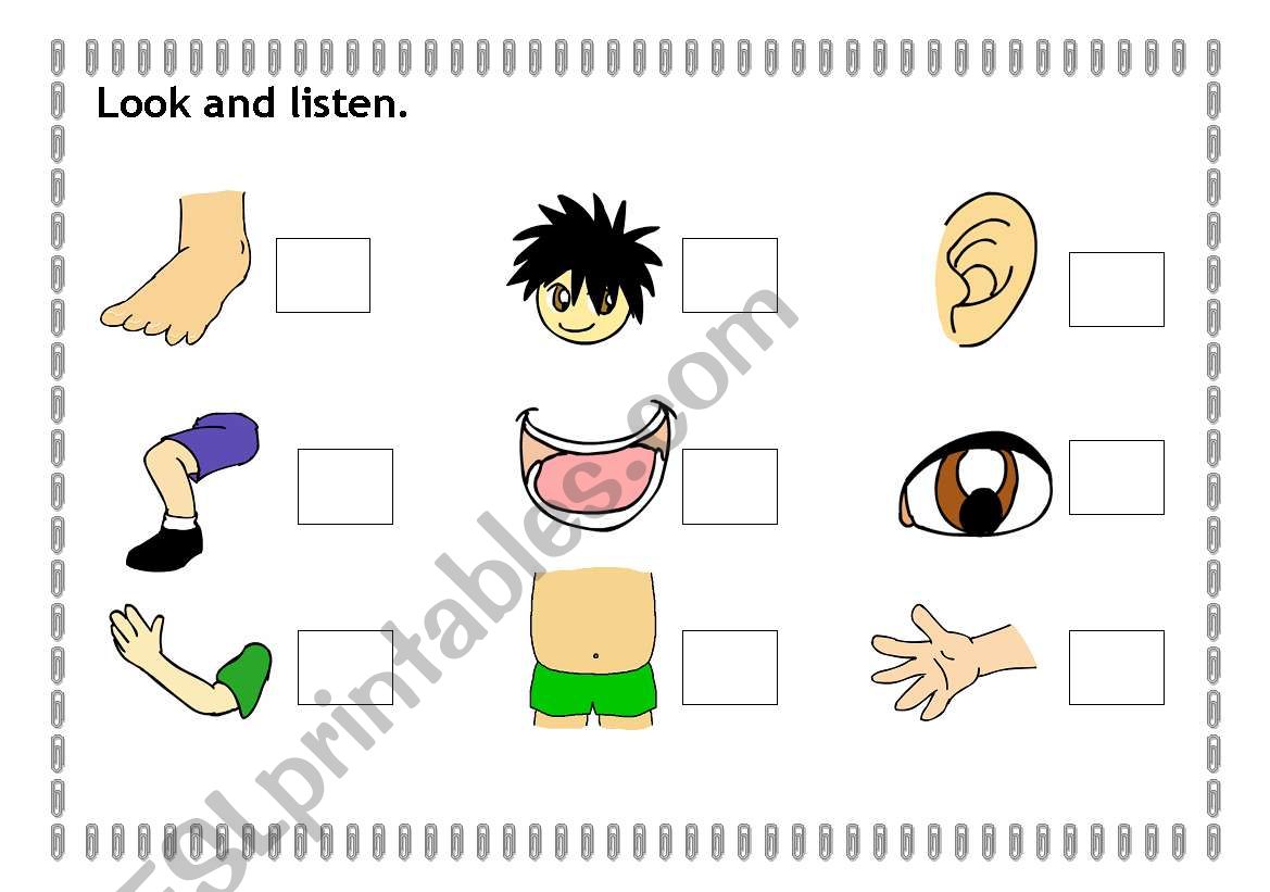 Look and listen - body  parts worksheet