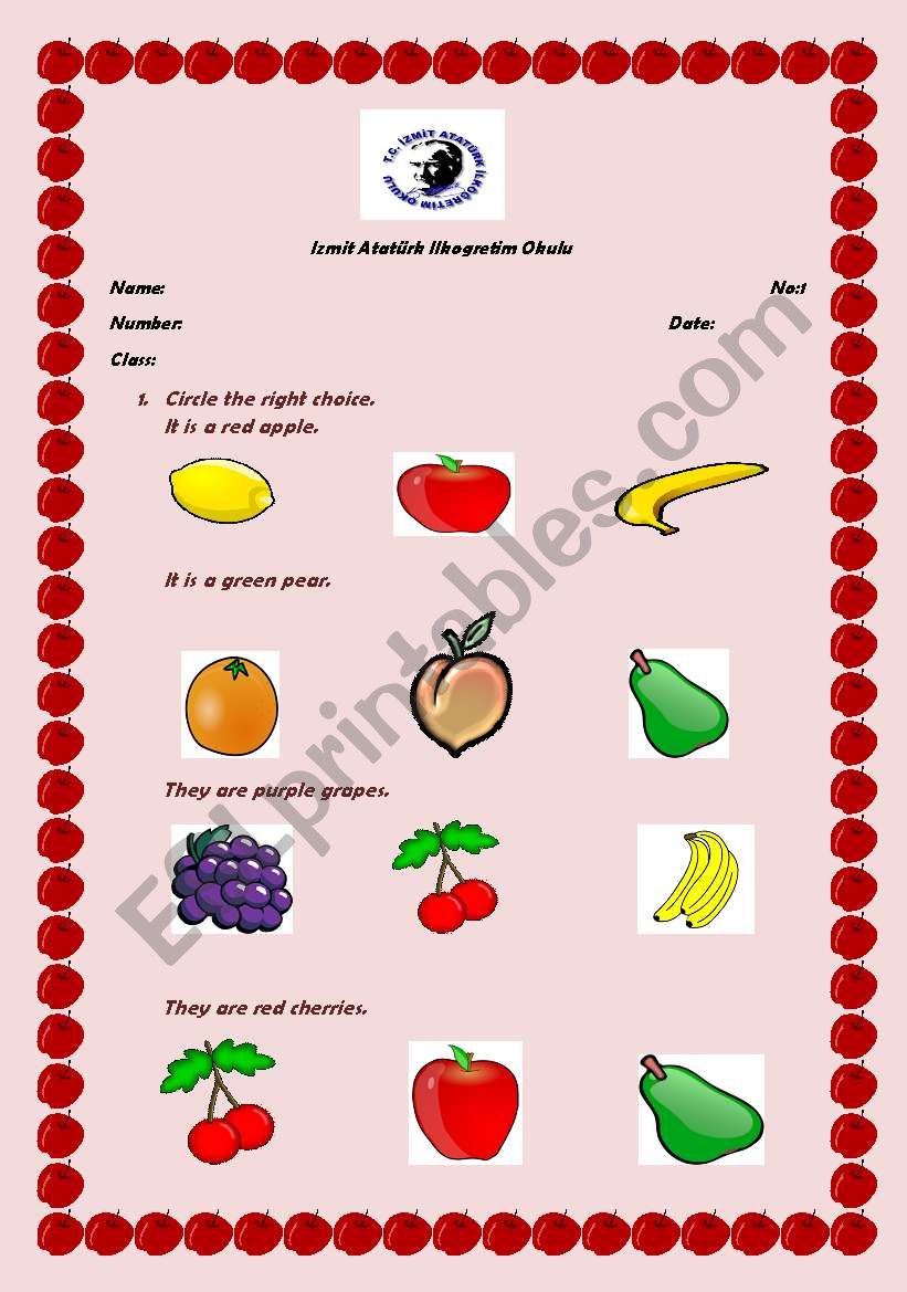 fruits worksheet