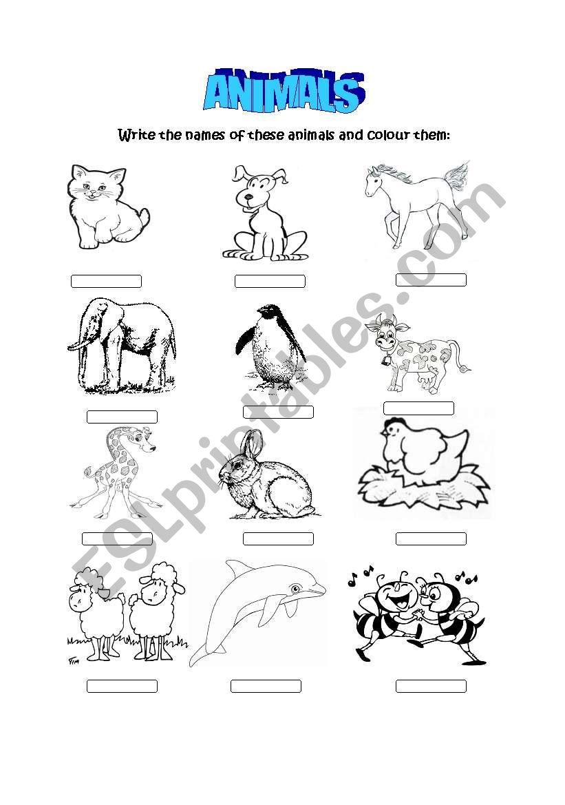 Animals worksheet