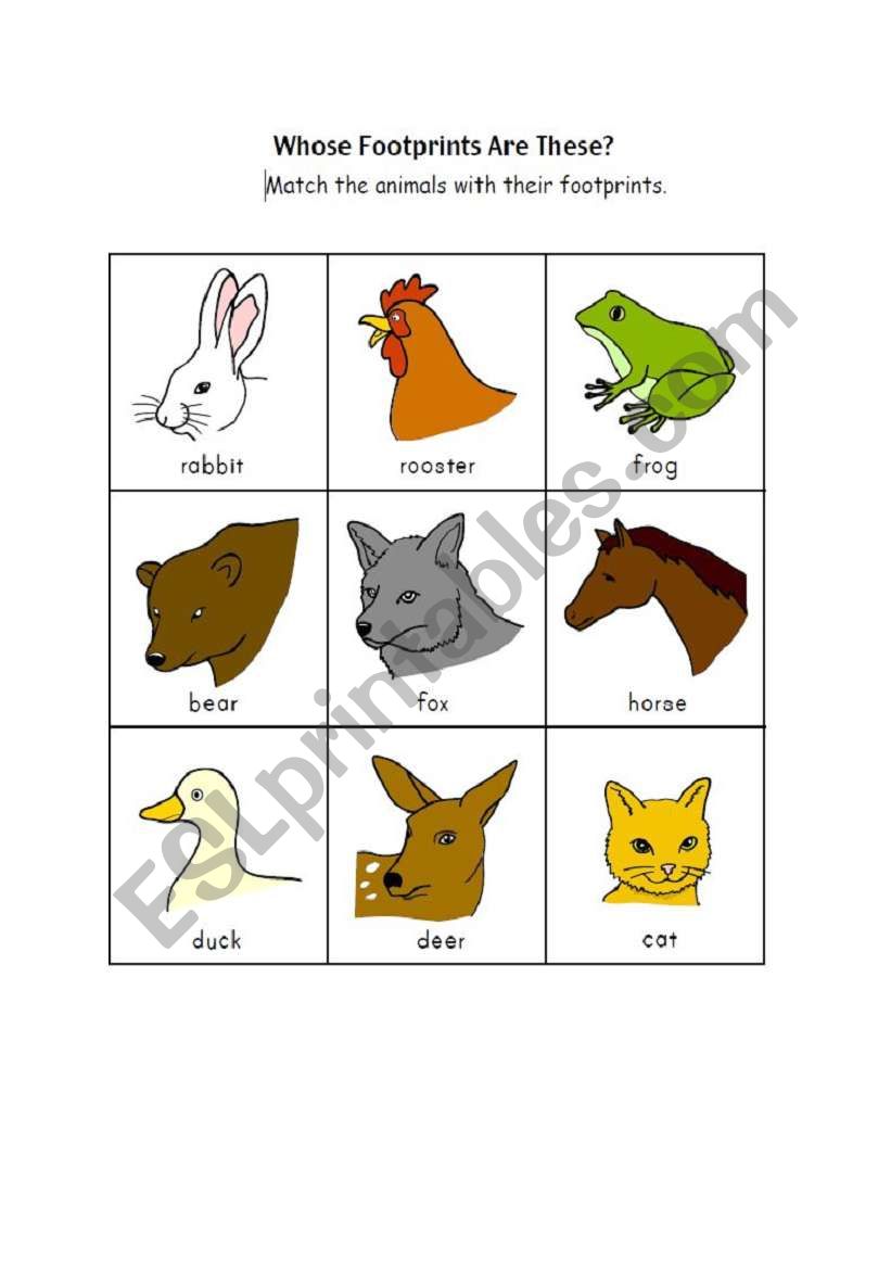 Whose foot steps are these? worksheet