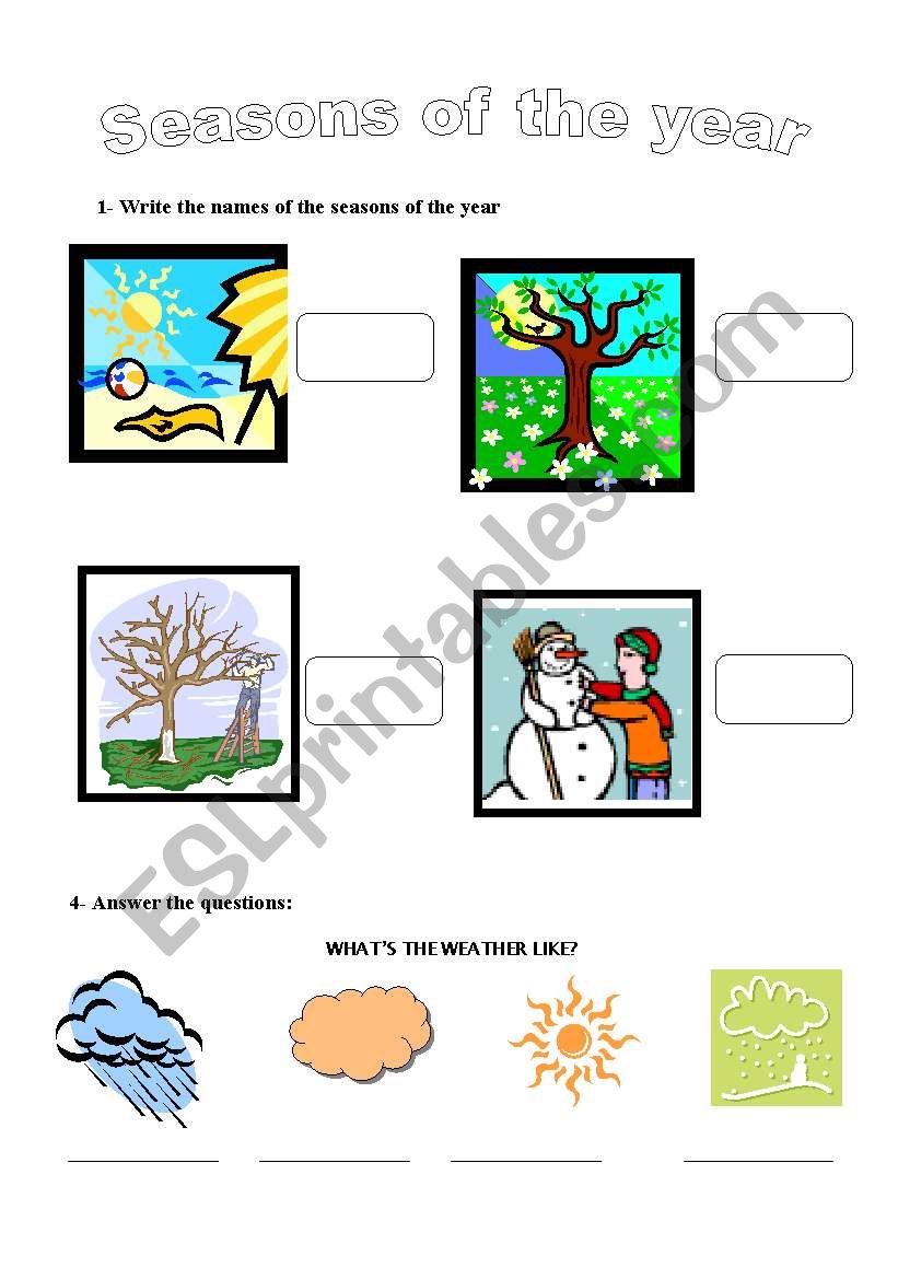 Seasons of  the year worksheet