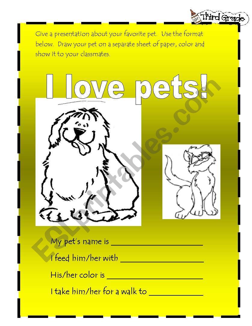 My favorite pet worksheet