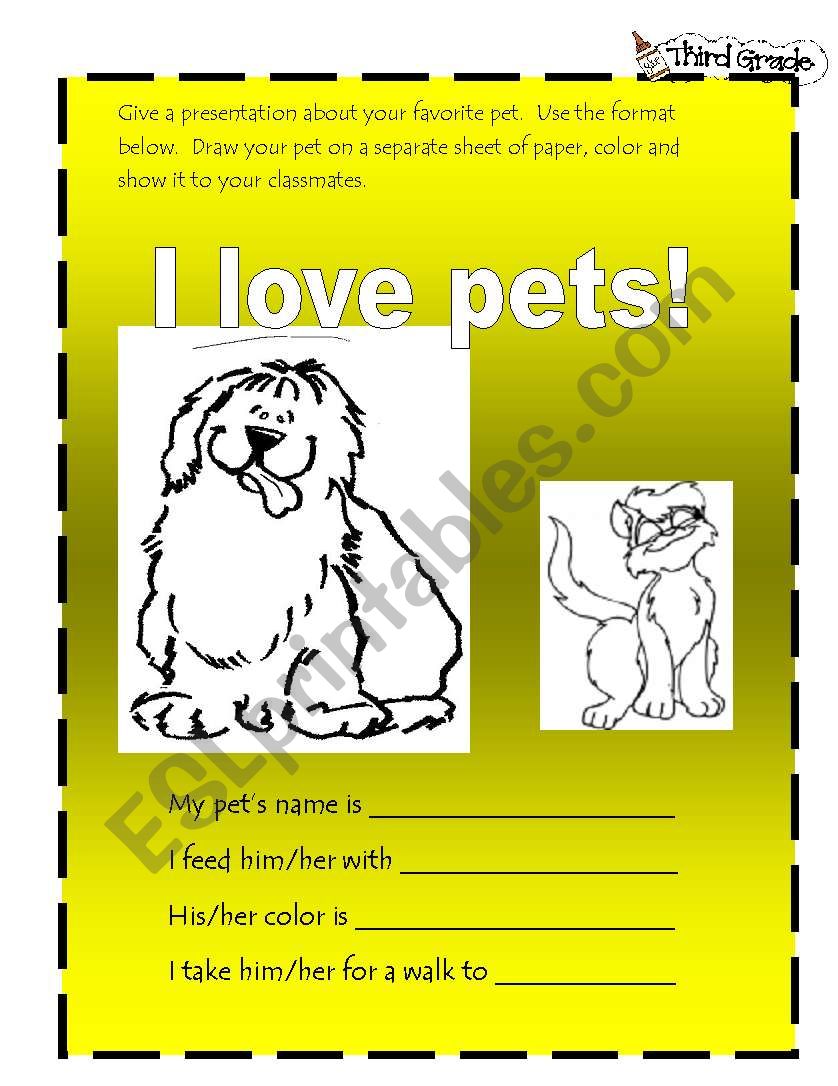 My shop favorite pet
