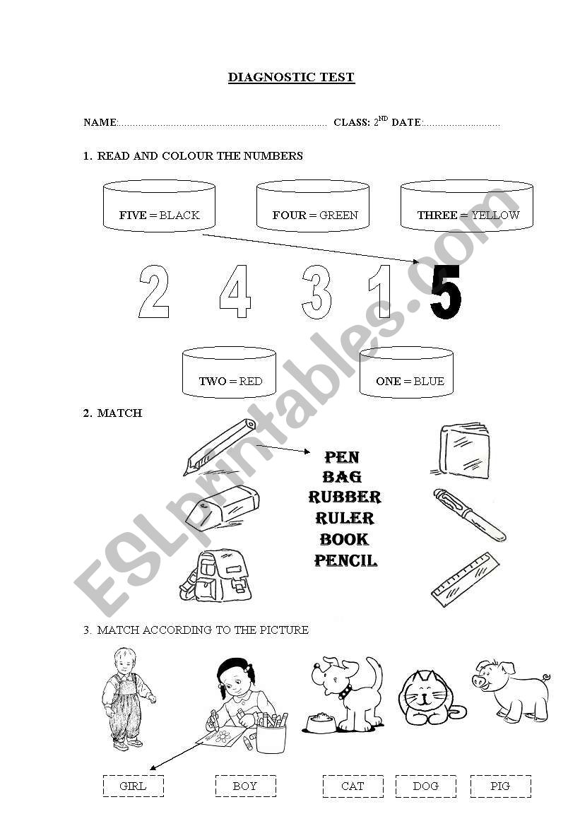 DIAGNOSTIC TEST (2ND PRIMARY) worksheet