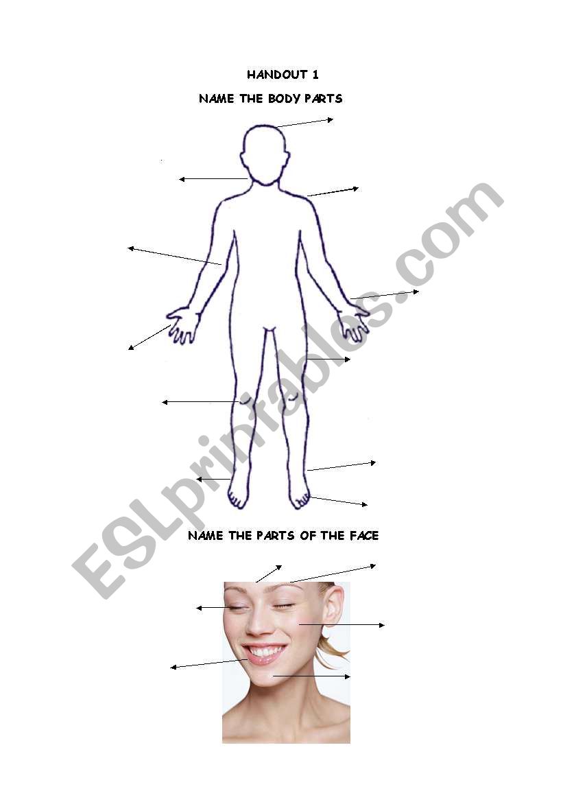 Body Parts and Face Handout worksheet