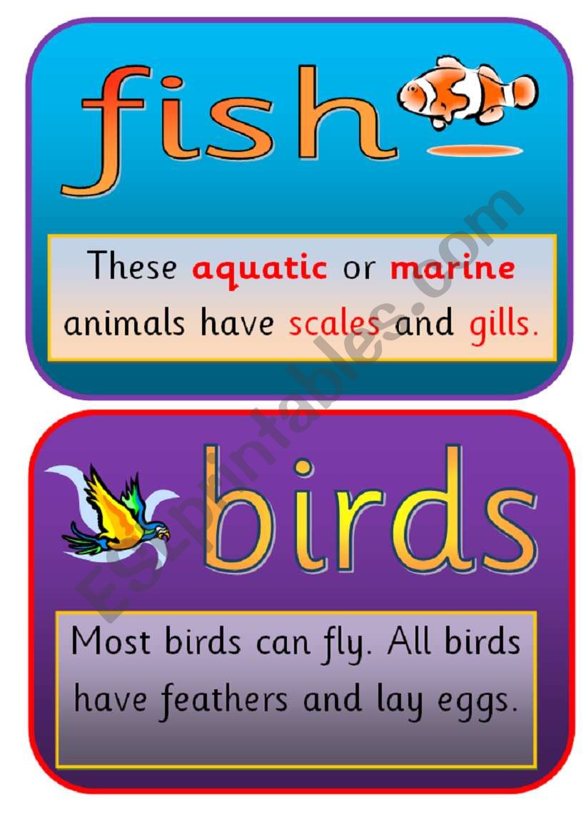 THE ANIMAL KINGDOM FLASHCARDS PART 2