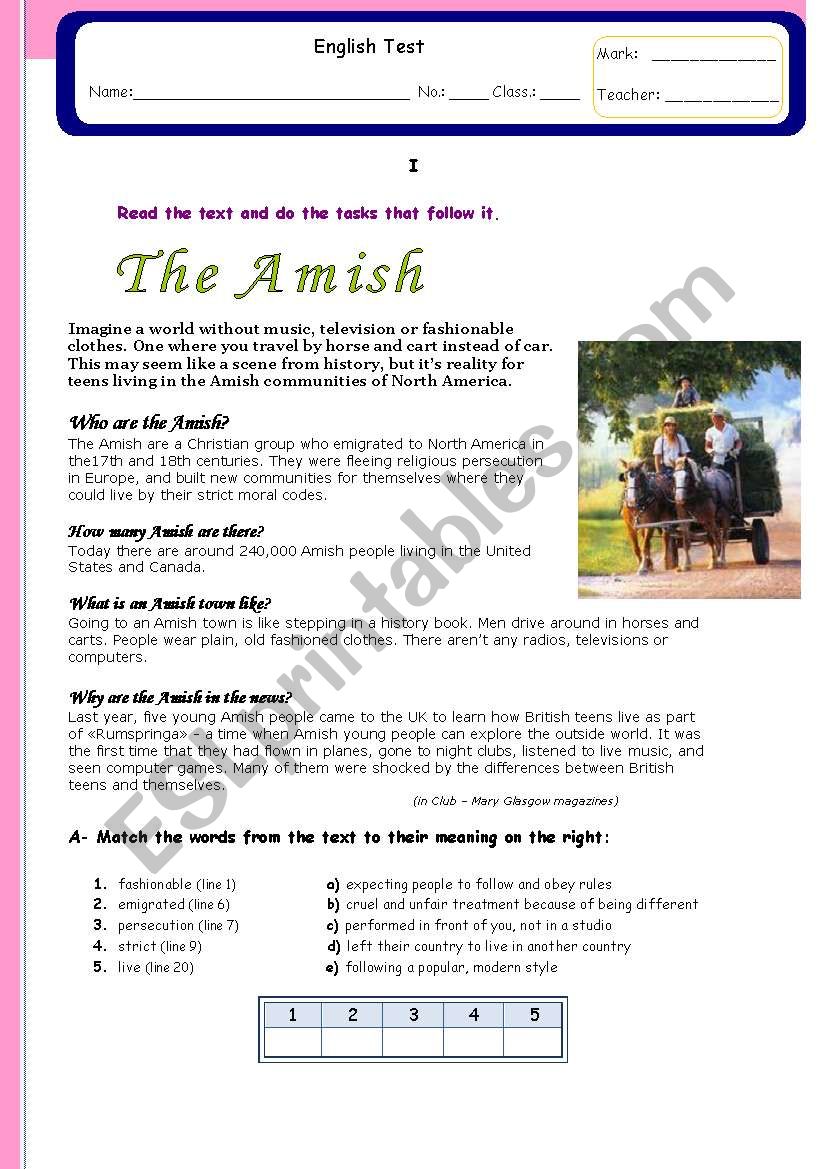 The Amish worksheet