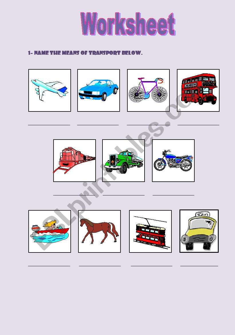 means transport worksheet