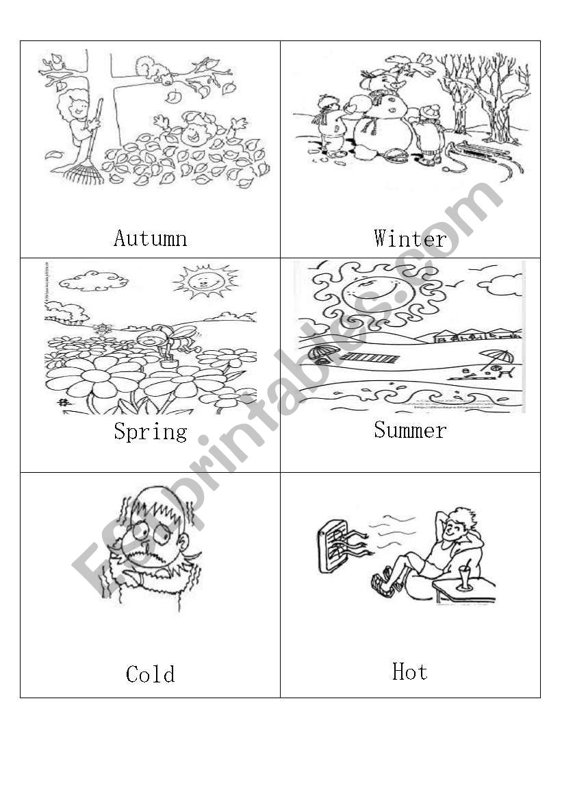 MINIFLASHCARDS - THE SEASONS- 