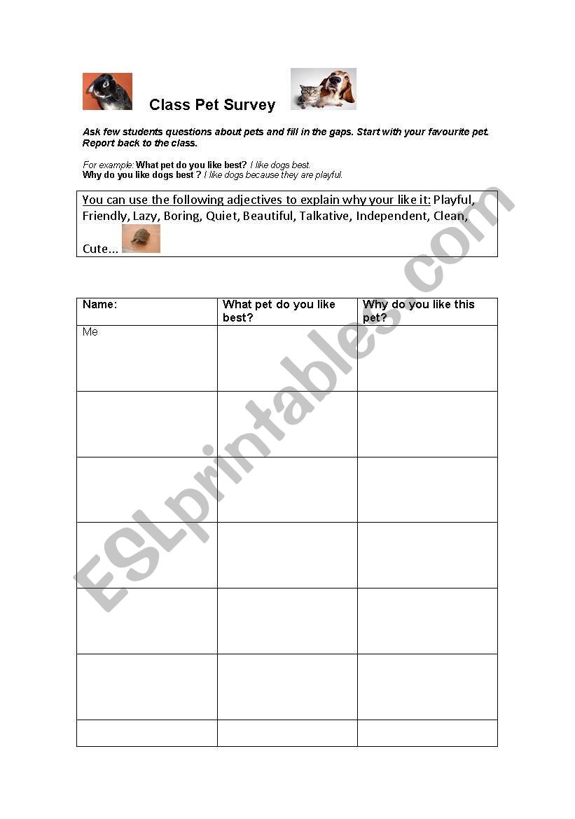 ANIMAL SURVEY worksheet