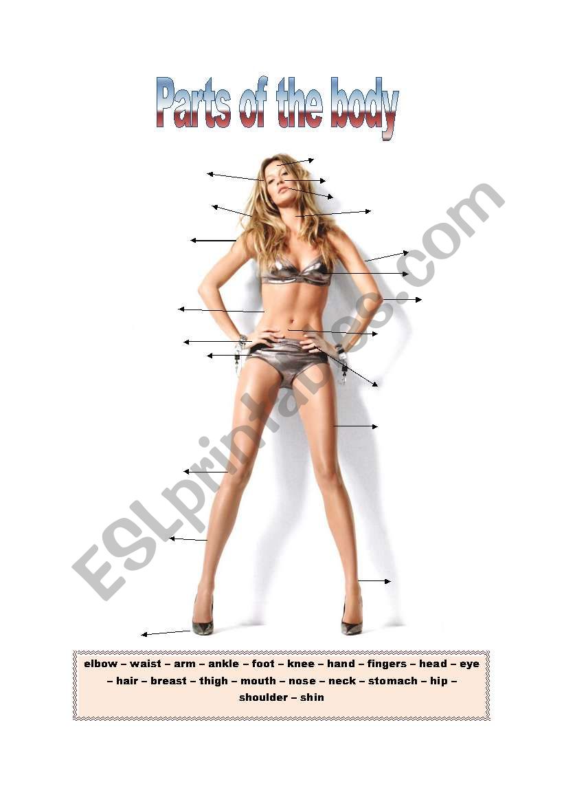 Body parts with top Gisele Bundchen