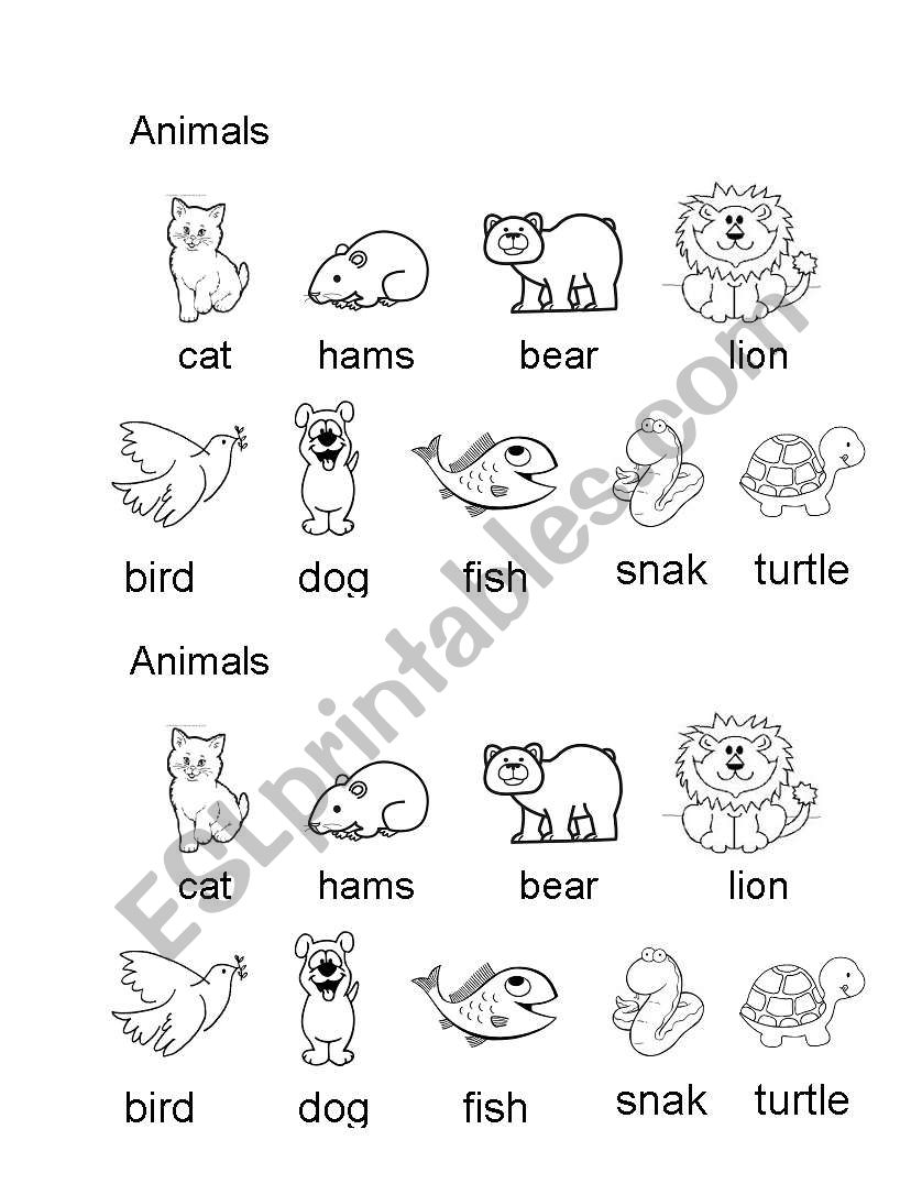 Animals worksheet