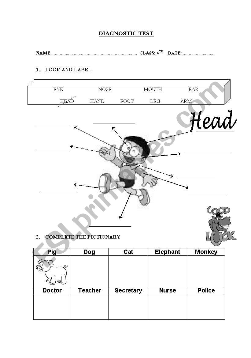 DIAGNOSTIC TEST (4 PRIMARY) worksheet