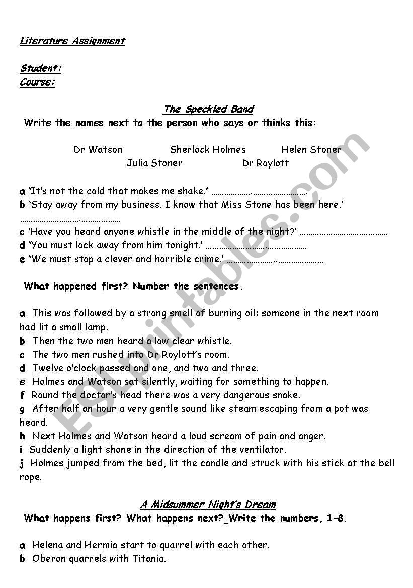 LITERATURE ASSIGNMENT worksheet