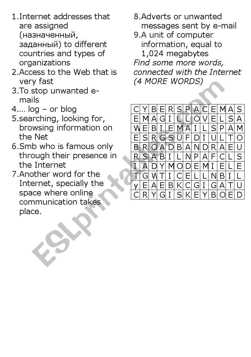 Internet - a crossword worksheet