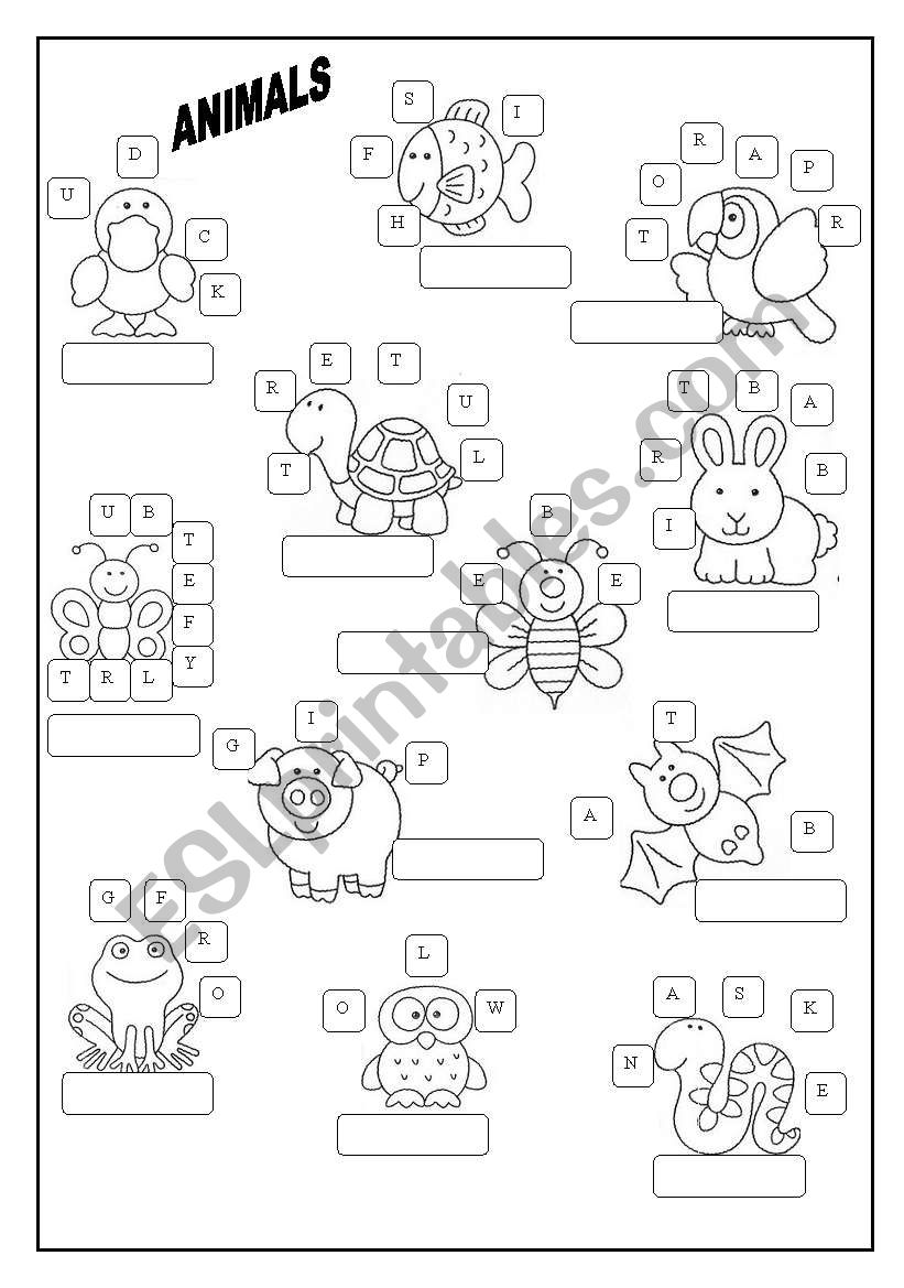 Animals worksheet