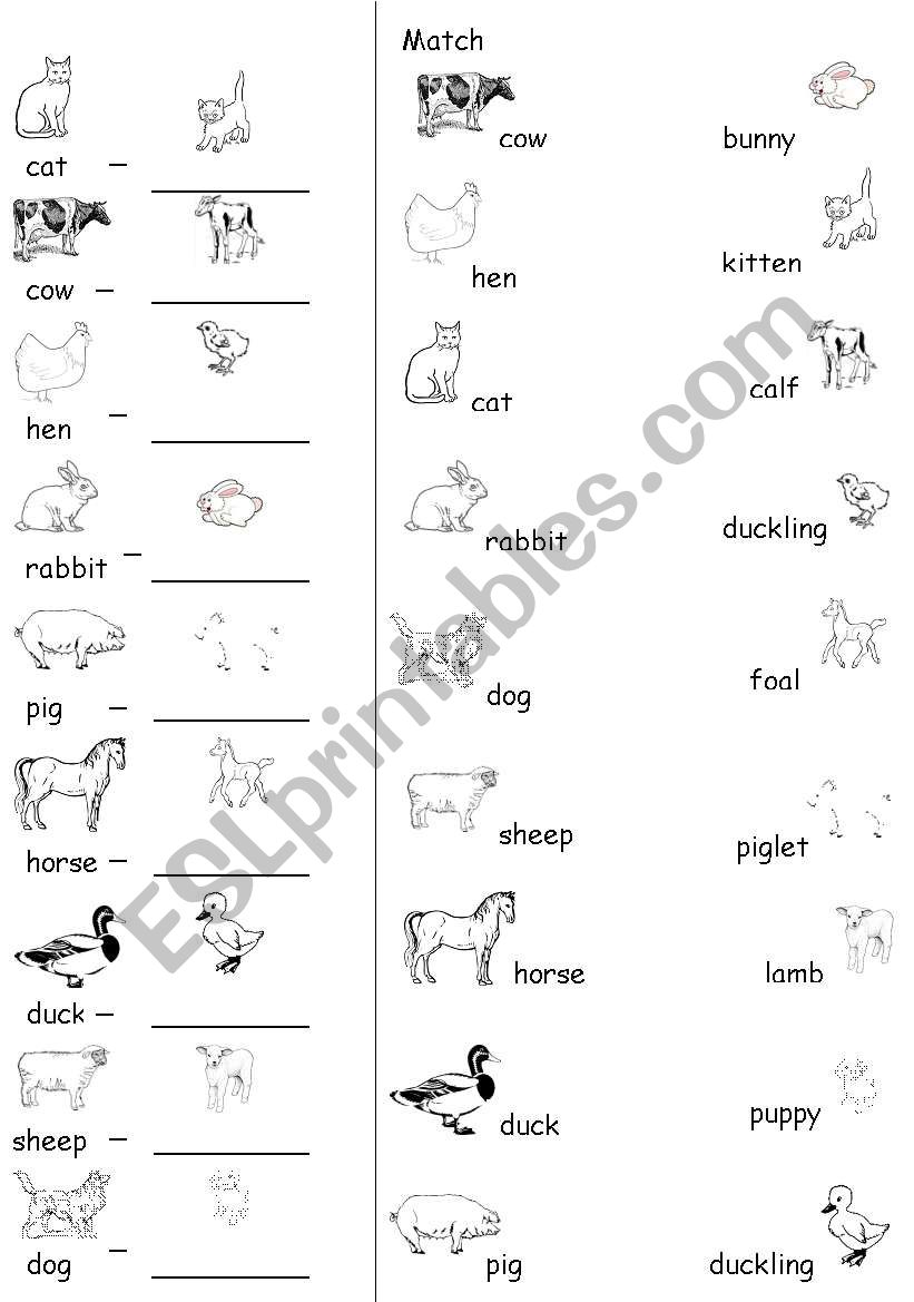 Farm Animals Young worksheet