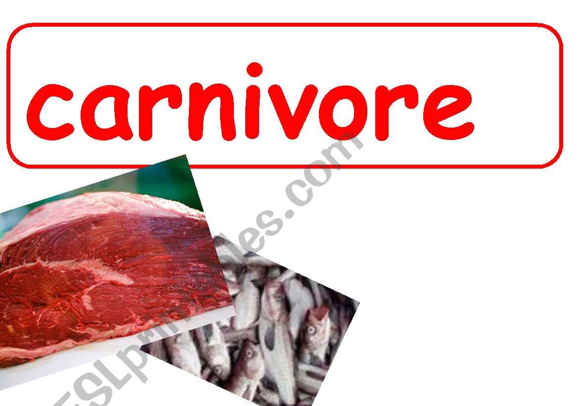 Animals.Carnivores,Hervibores,Omnivores,Humans posters.
