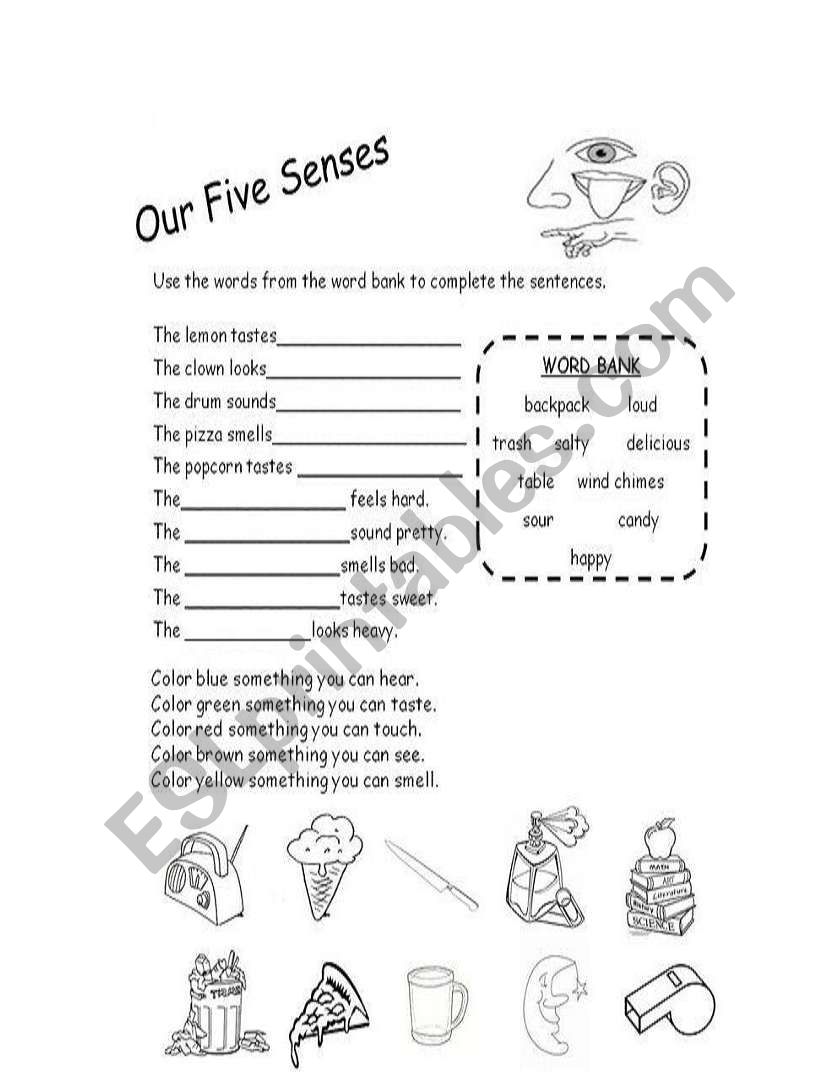 our five senses worksheet