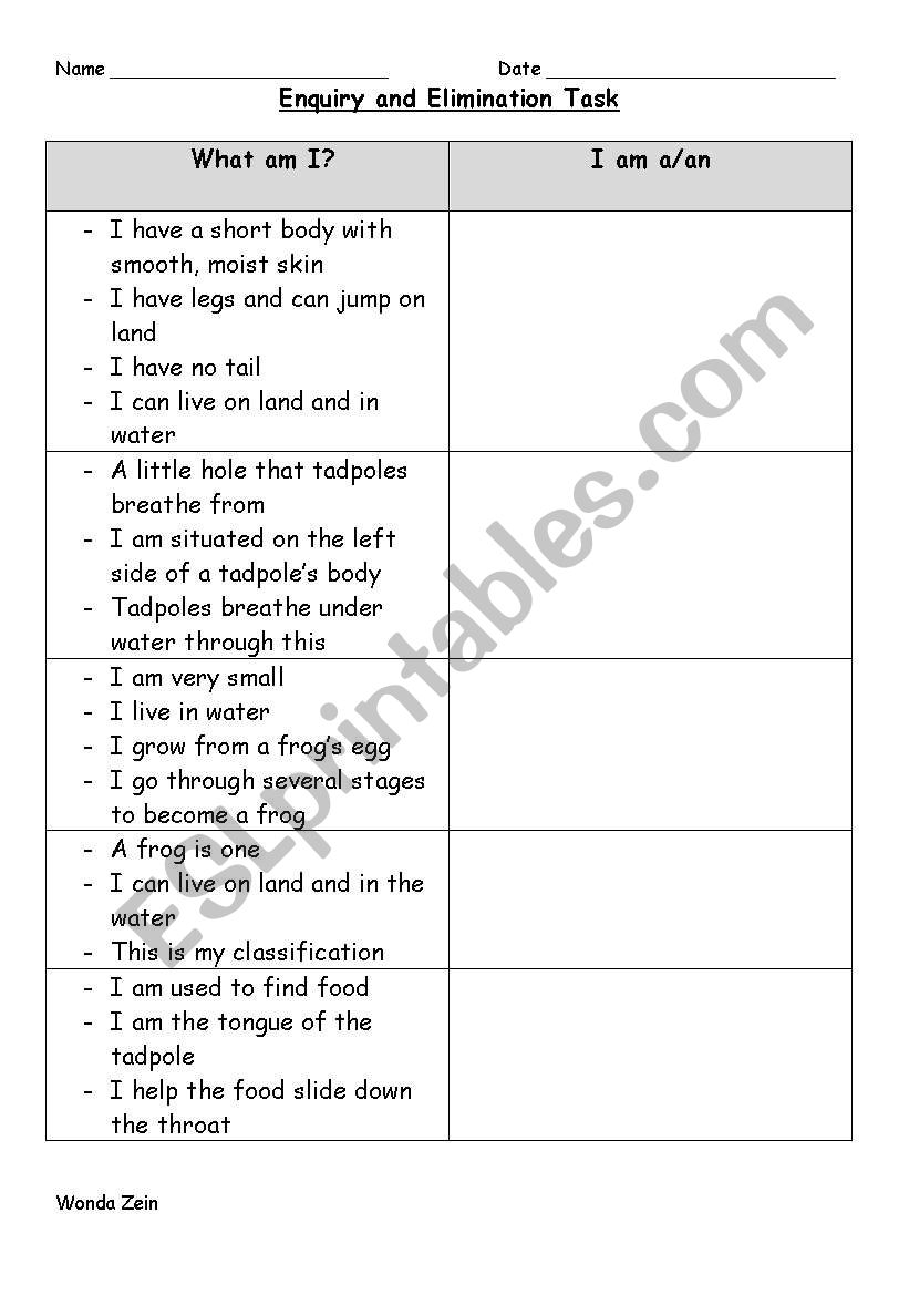 enquiry and elimination frogs worksheet