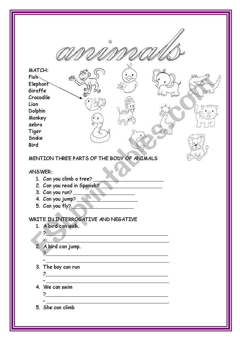 ANIMALS AND CAN worksheet
