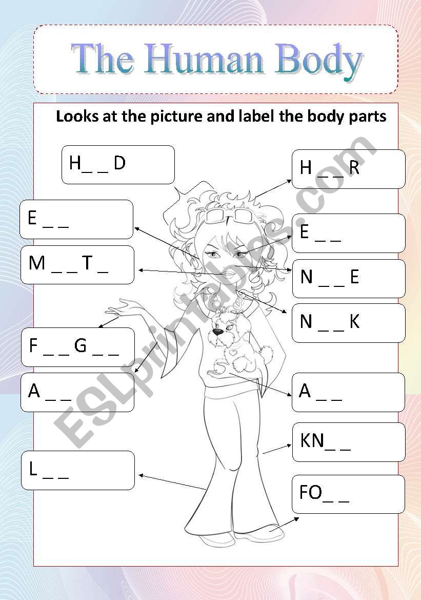 the human body worksheet