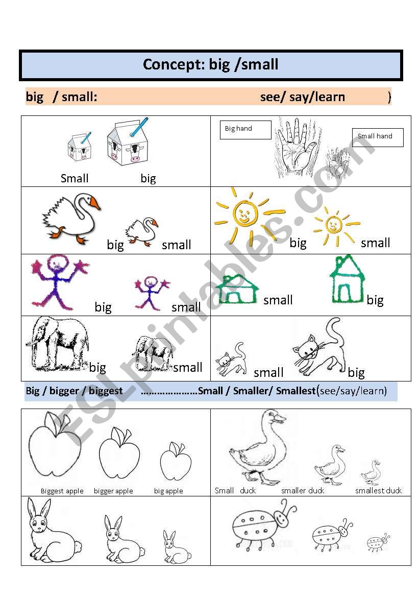 Concept: size worksheet