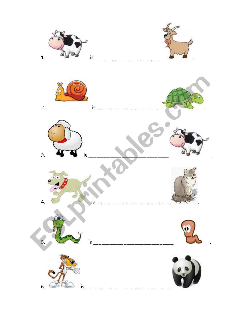 comparisons animals worksheet