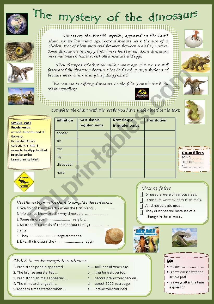 Dinosaurs. reading comprehension and past simple for beginners