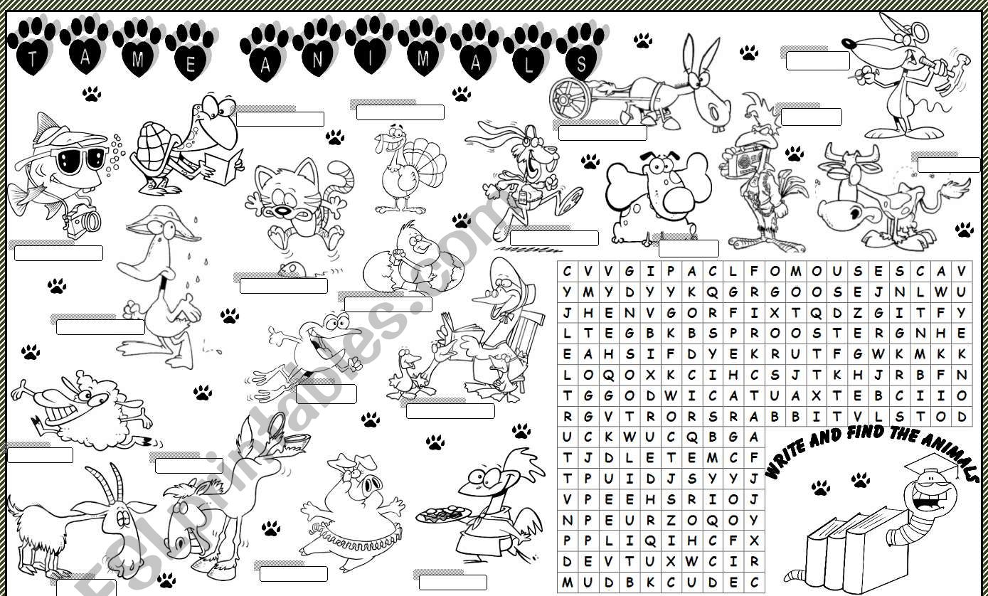 tame animals wordsearch worksheet