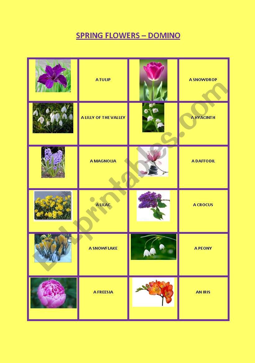 Spring flowers - domino worksheet
