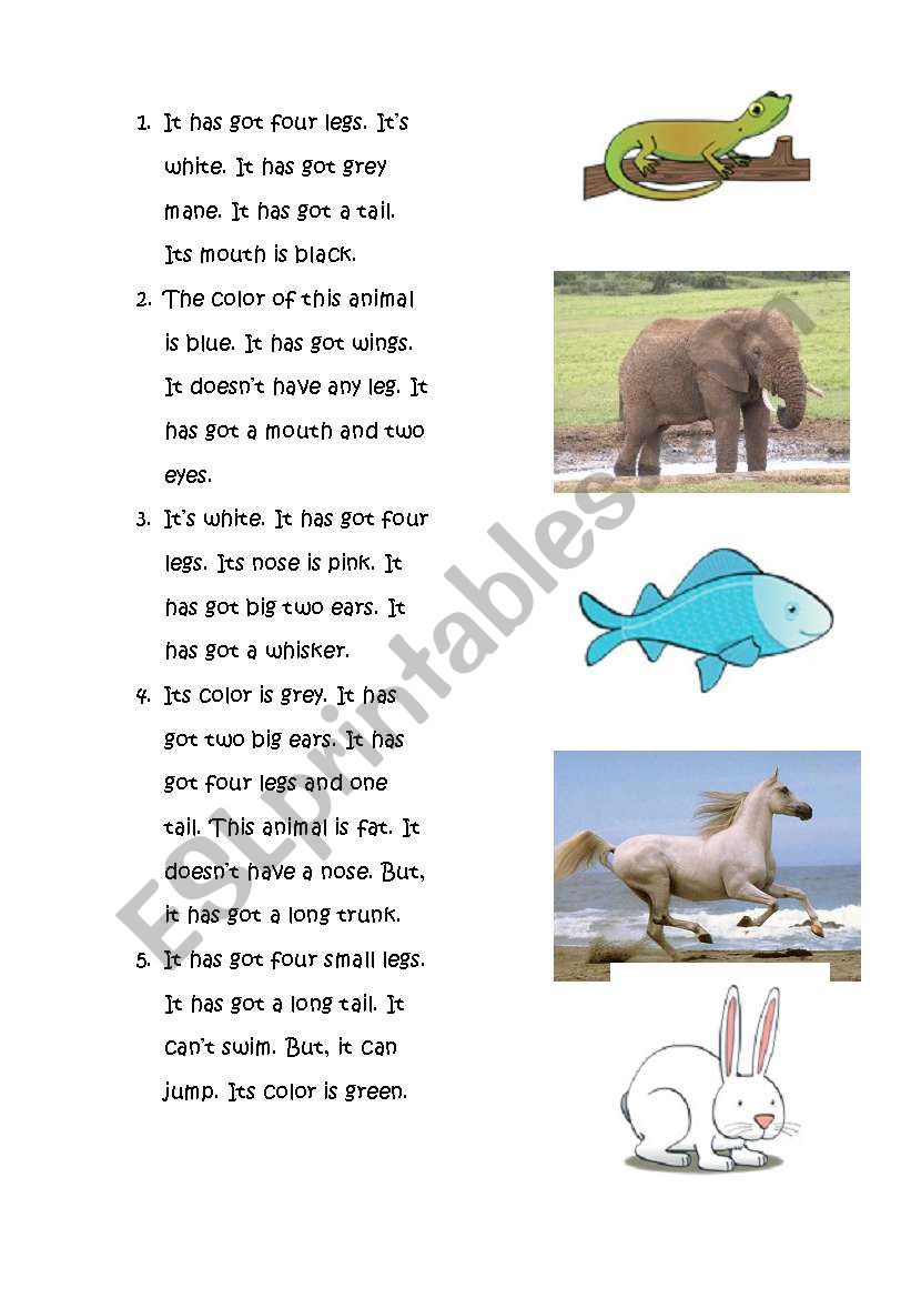 A reading about animals with matching activity for young learners