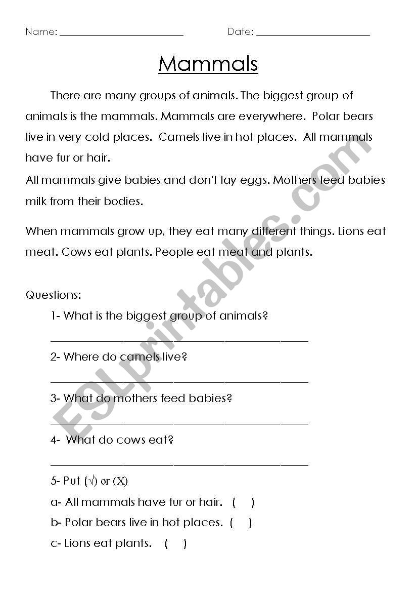 Animals reading comprehension worksheet