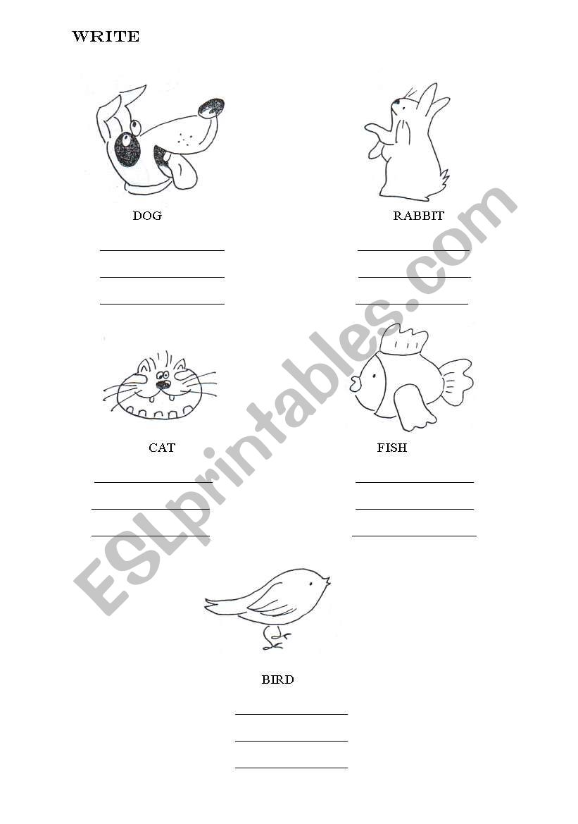 Animals worksheet