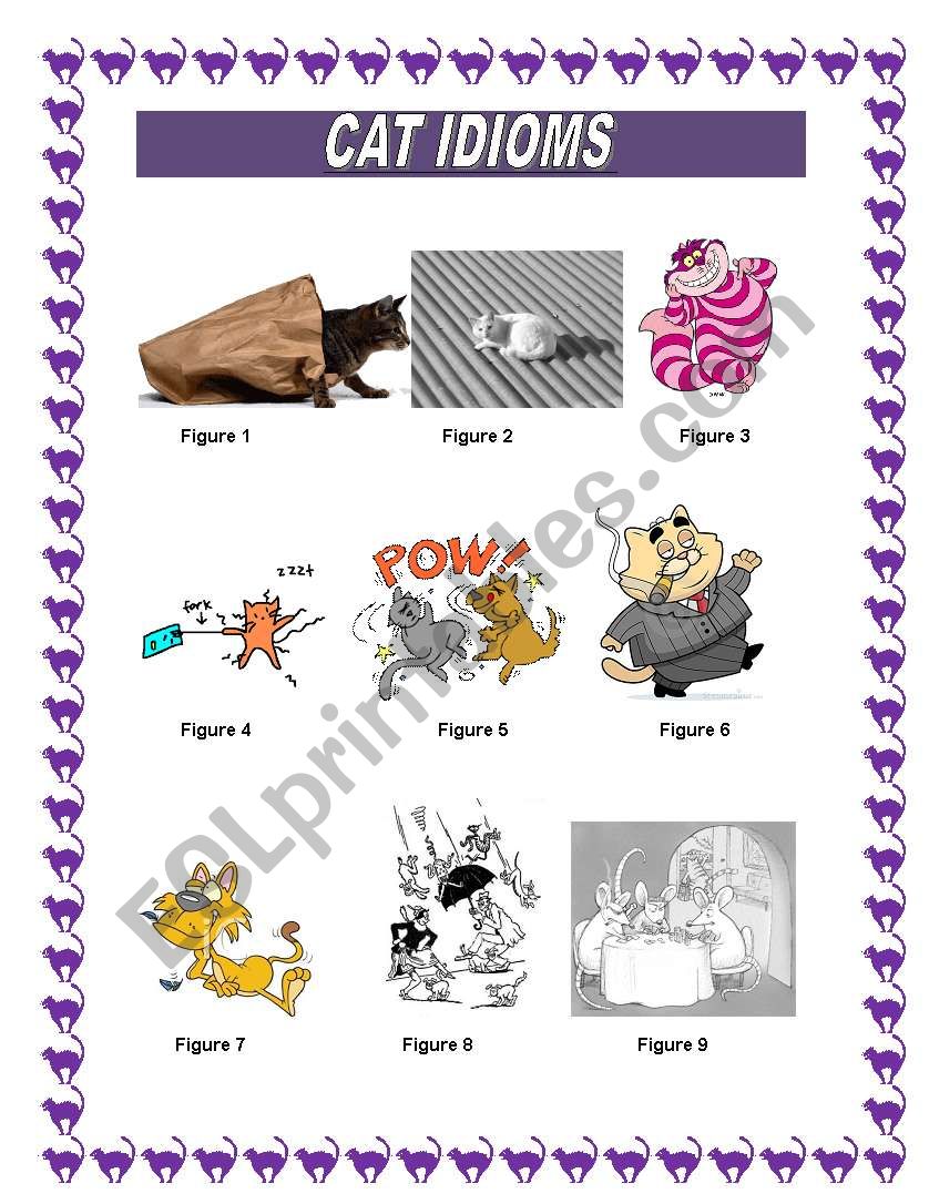 CAT IDIOMS worksheet