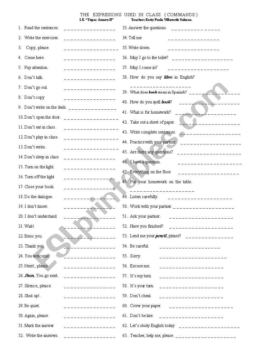 EXPRESIONS USED IN CLASS worksheet