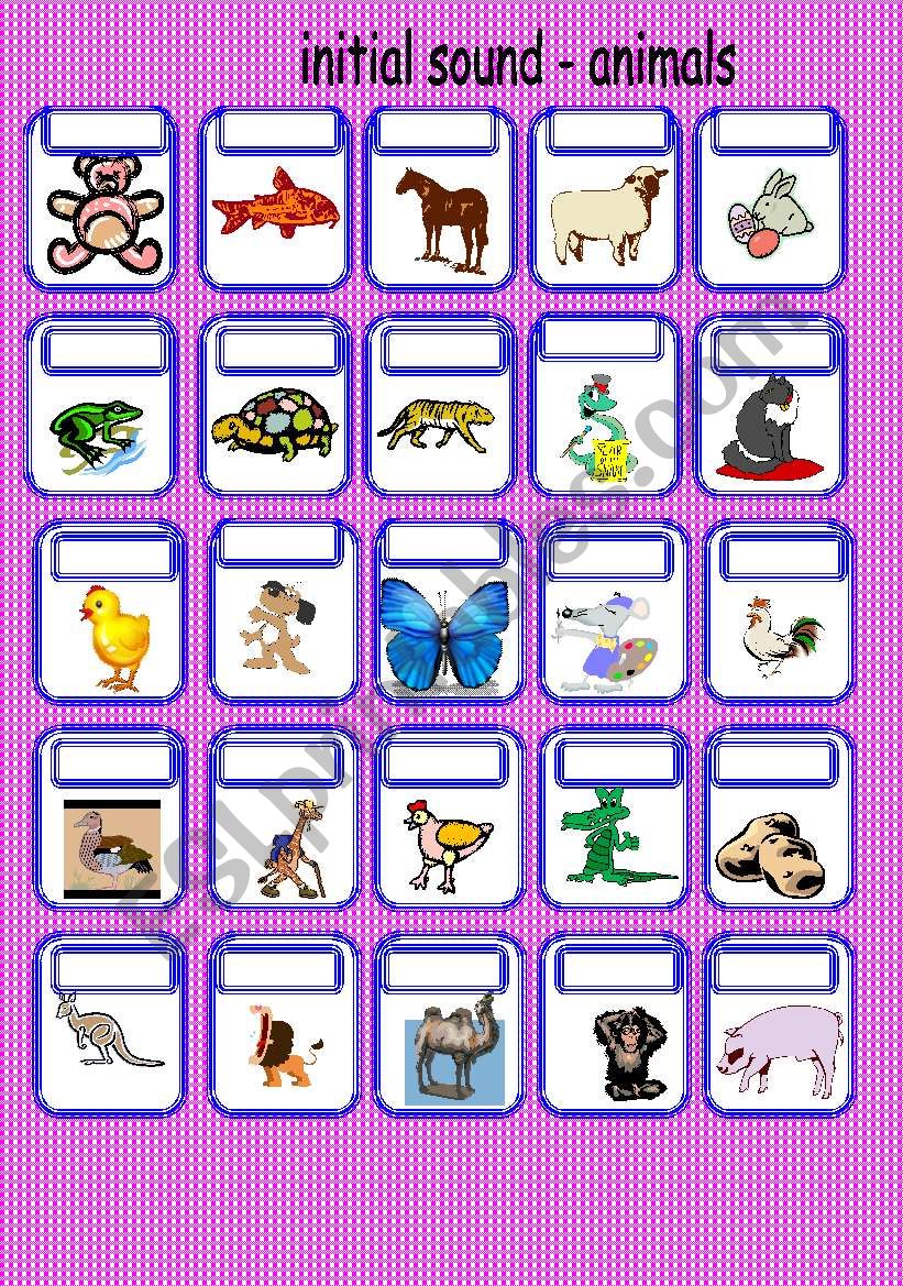 initial sound - animals worksheet