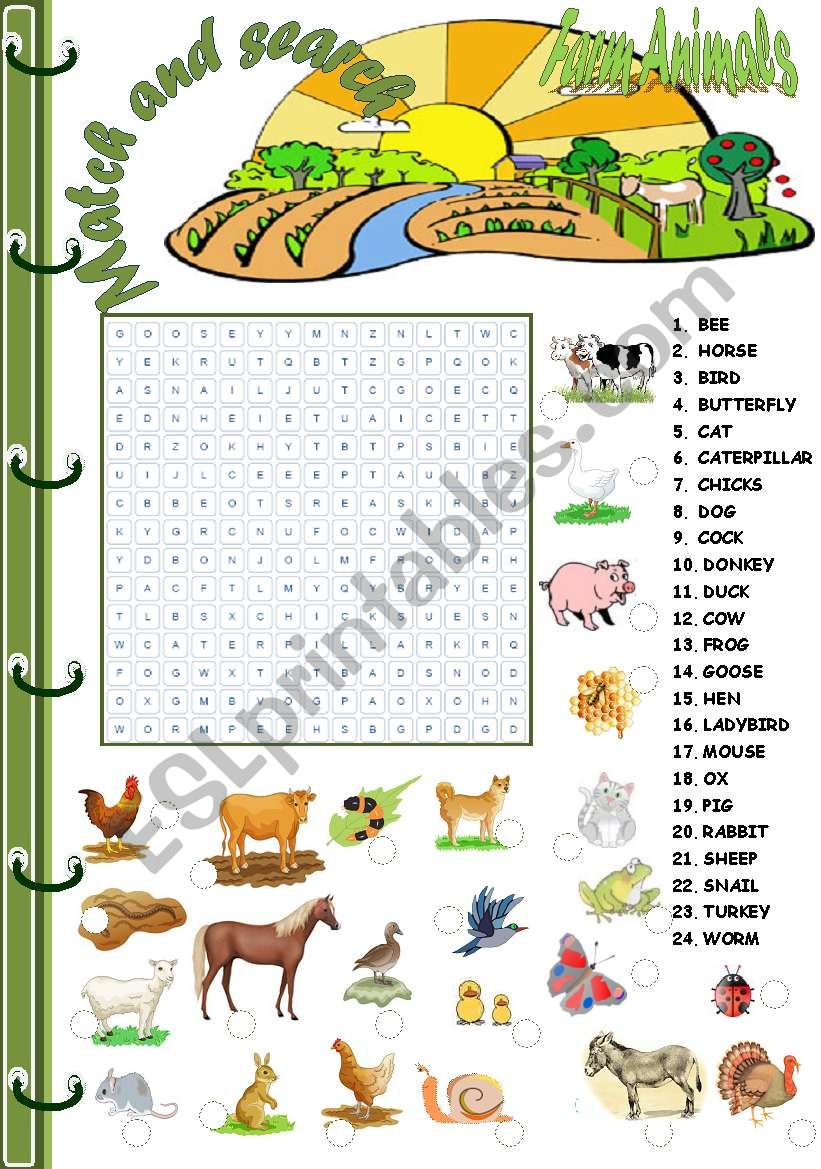 farm animals worksheet