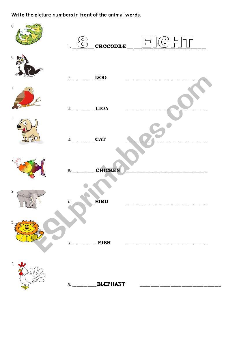 animals worksheet